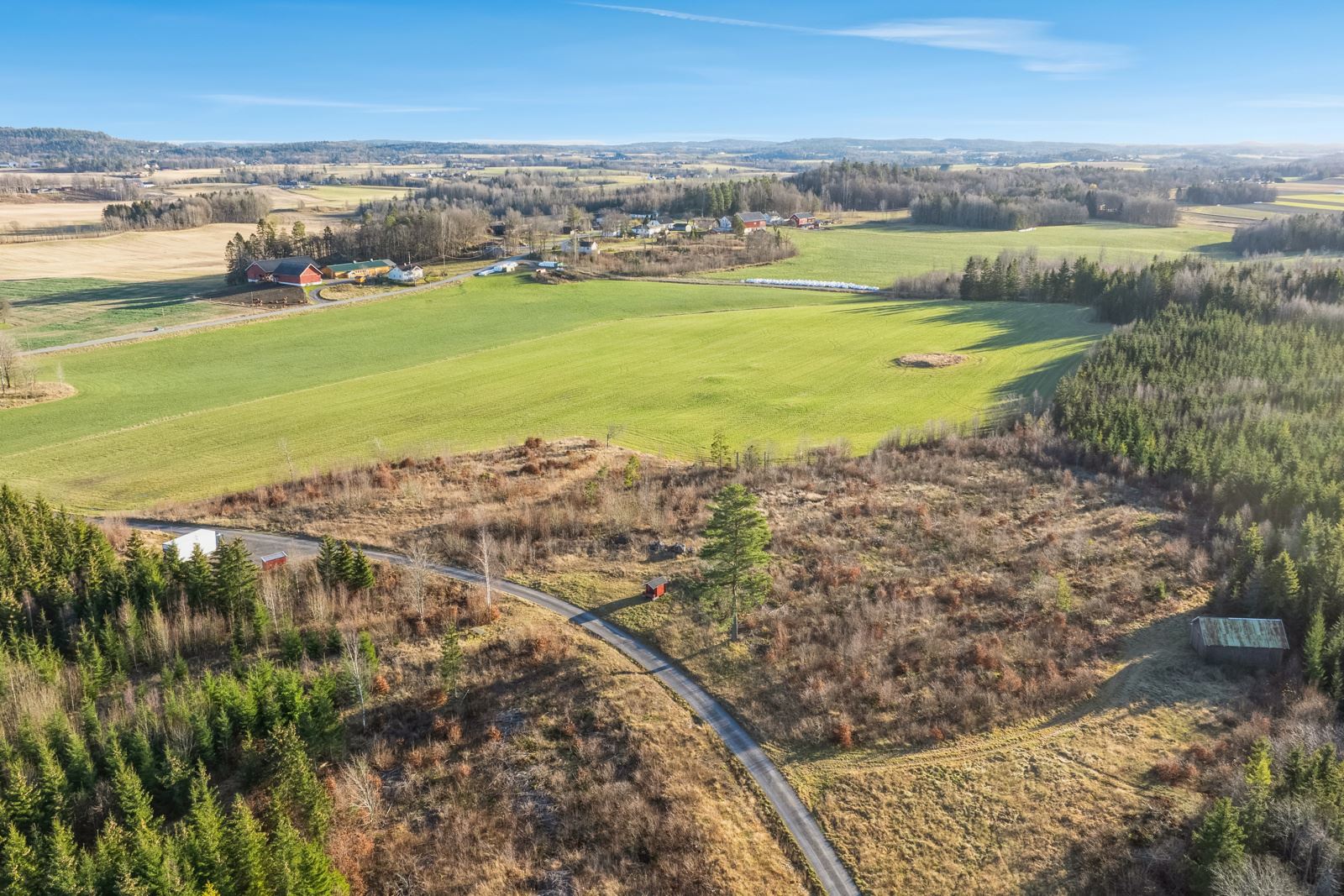 Skogen deler av to av jordene og har blant annet et enkelt redskapsbygg