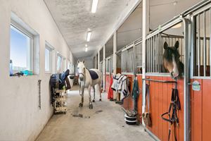 Stallen inneholder 8 stallbokser og vender ut mot hesteanlegget og ridebanen