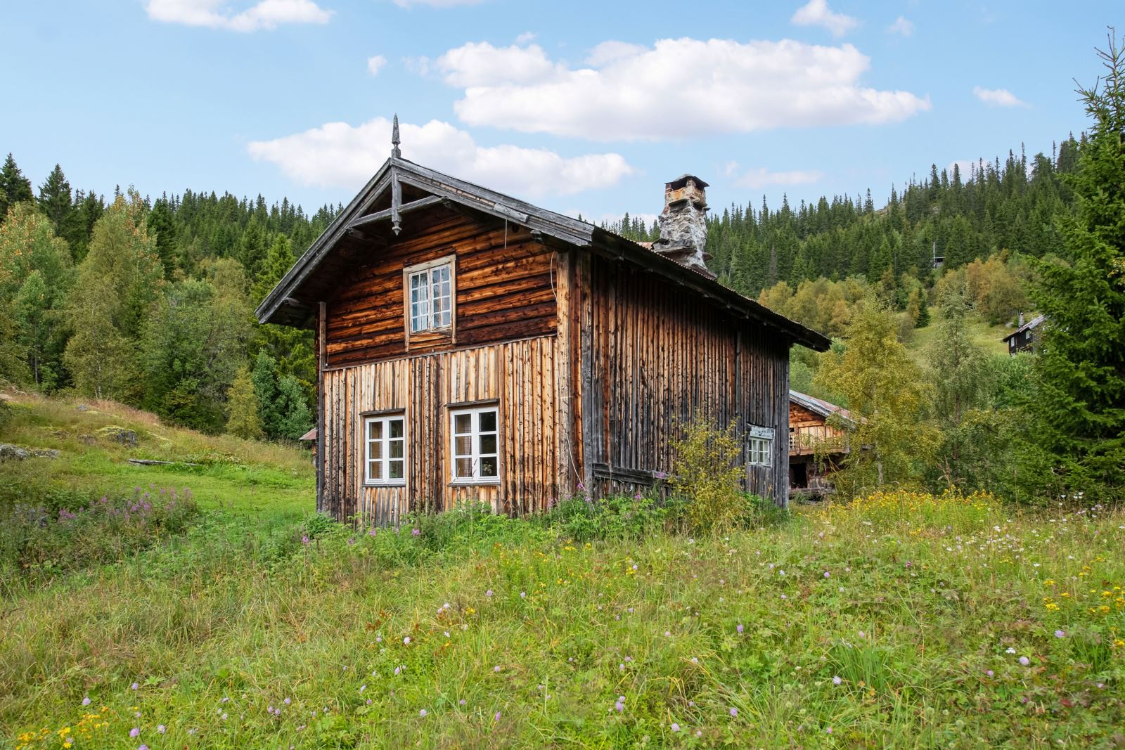 Våningshuset er fra slutten av 1800 taller og har behov for total renovering. Det er kun sommervann til huset