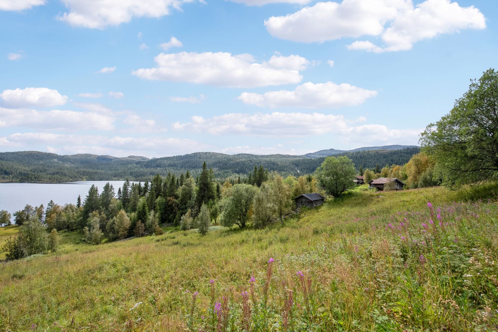 Flott utsikt over omkringliggende natur og kulturlandskap