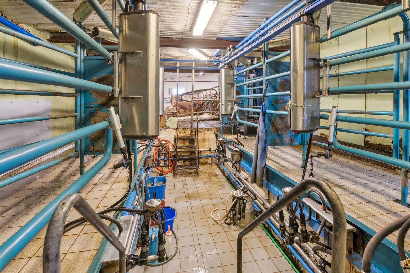 Melkestall 2x2 tandem, med Delaval melkeanlegg