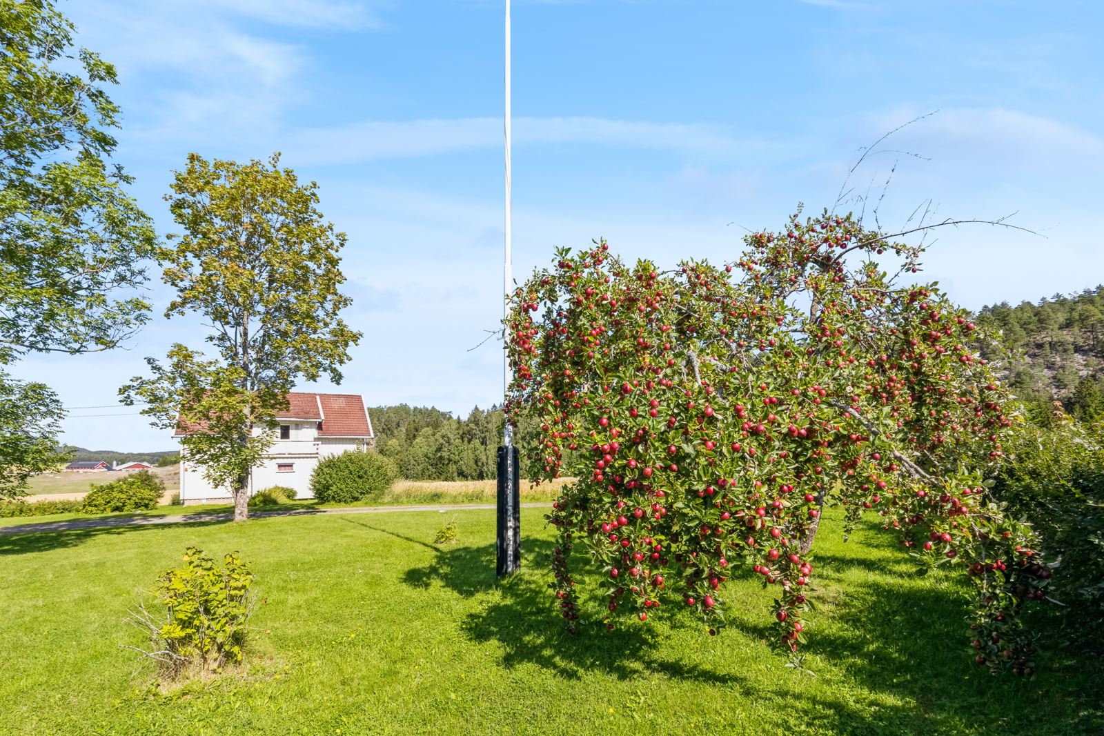 Det meste av tunet er opparbeidet med plenareal, også mellom bygningene