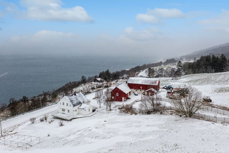 Gårdstun