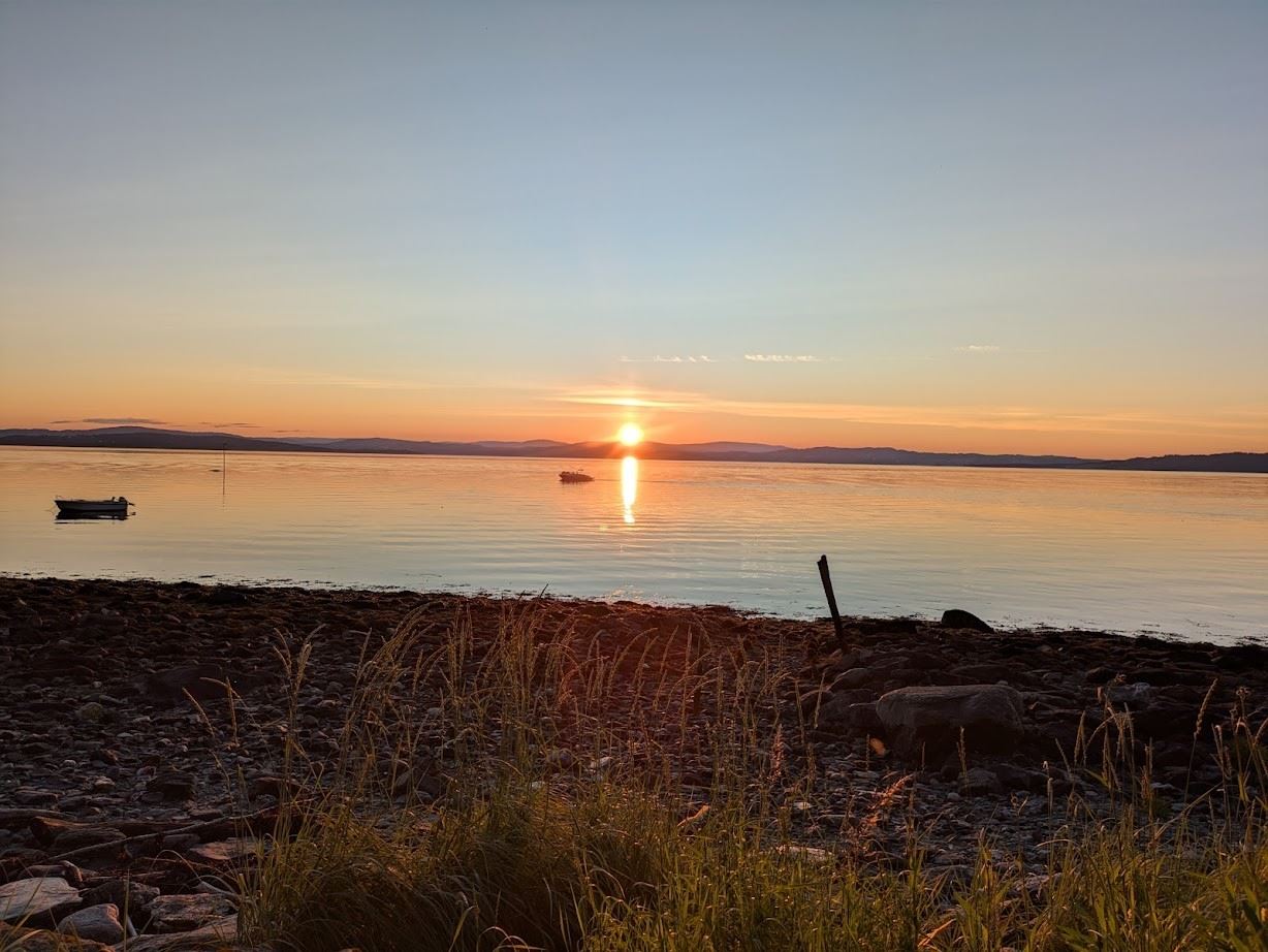 Stemningsbilde fra næromgårdet (Børøya ved Børsåsen