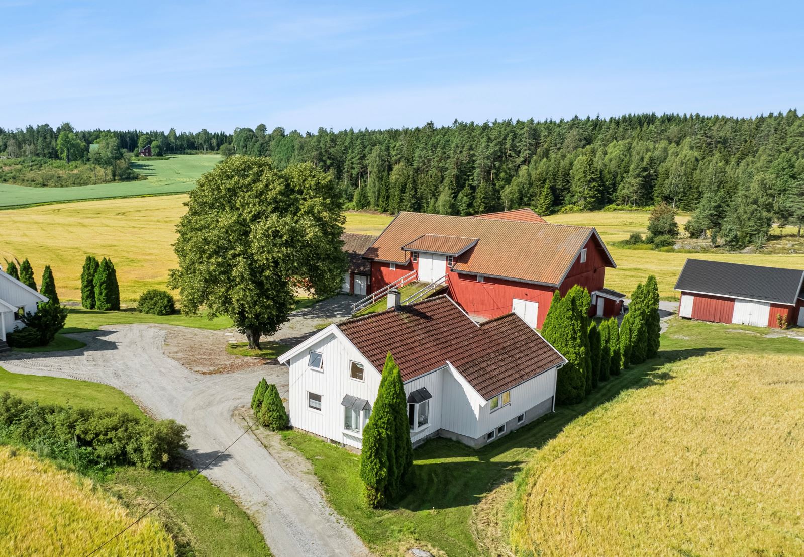 Tunet er romslig mellom bygningene med gode parkeringsmuligheter og et flott tuntre. På siden (til venstre i bildet) ligger en utskilt enebolig som blir nærmeste nabo. 