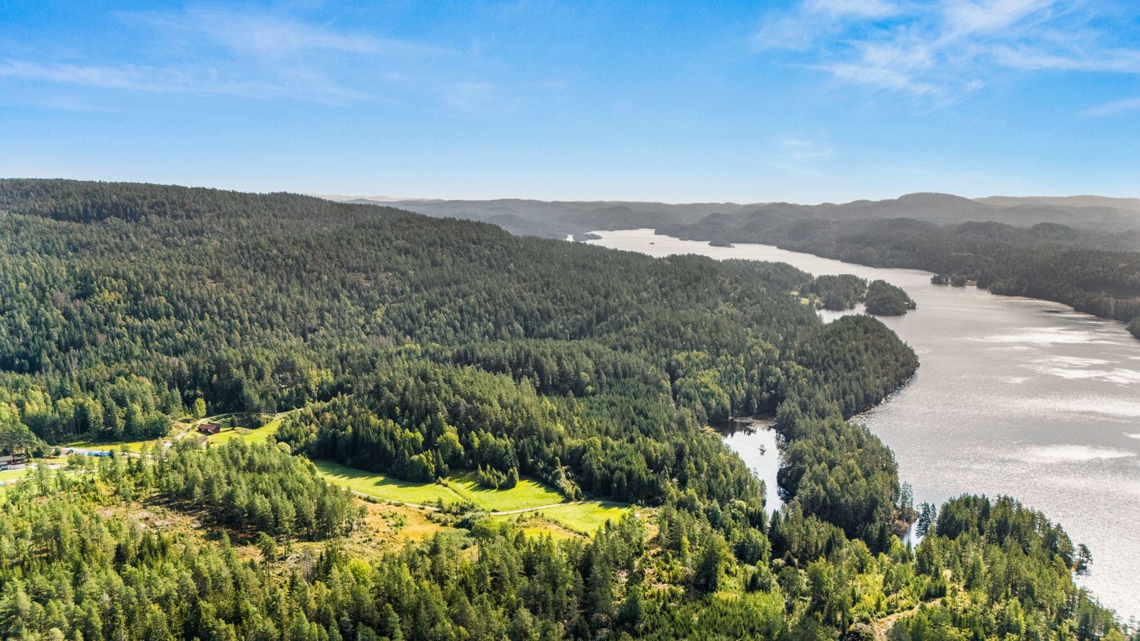 En god del av skogen er klar for hogst, som betyr inntekter til gården. 