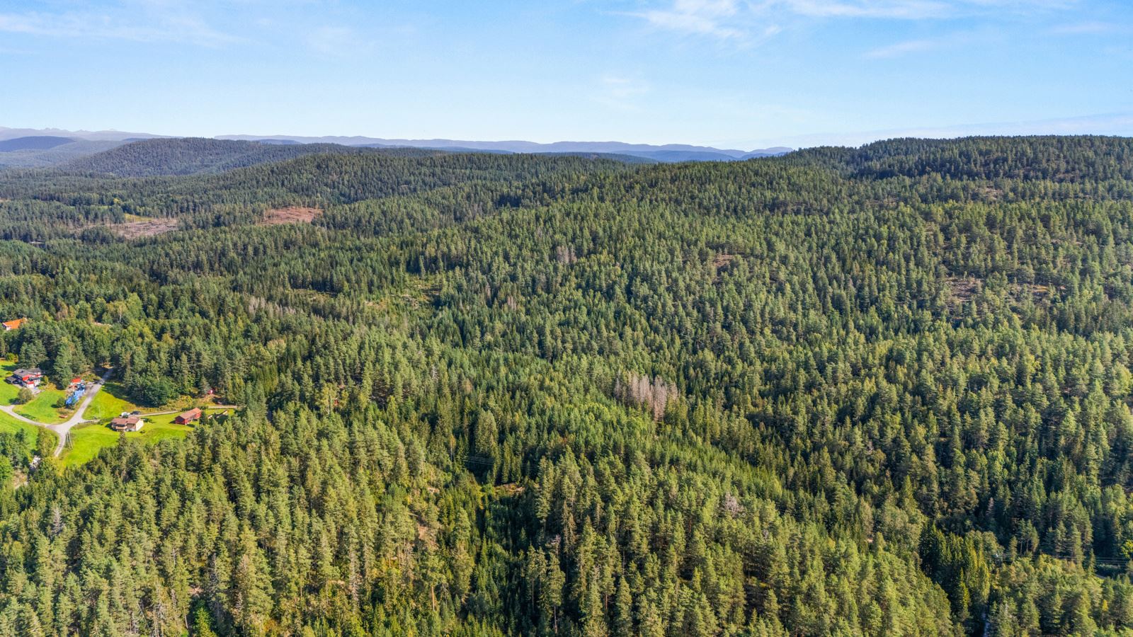 Sønstvedt gård er en skogeiendom med lang strandlinje mot sjøen. 