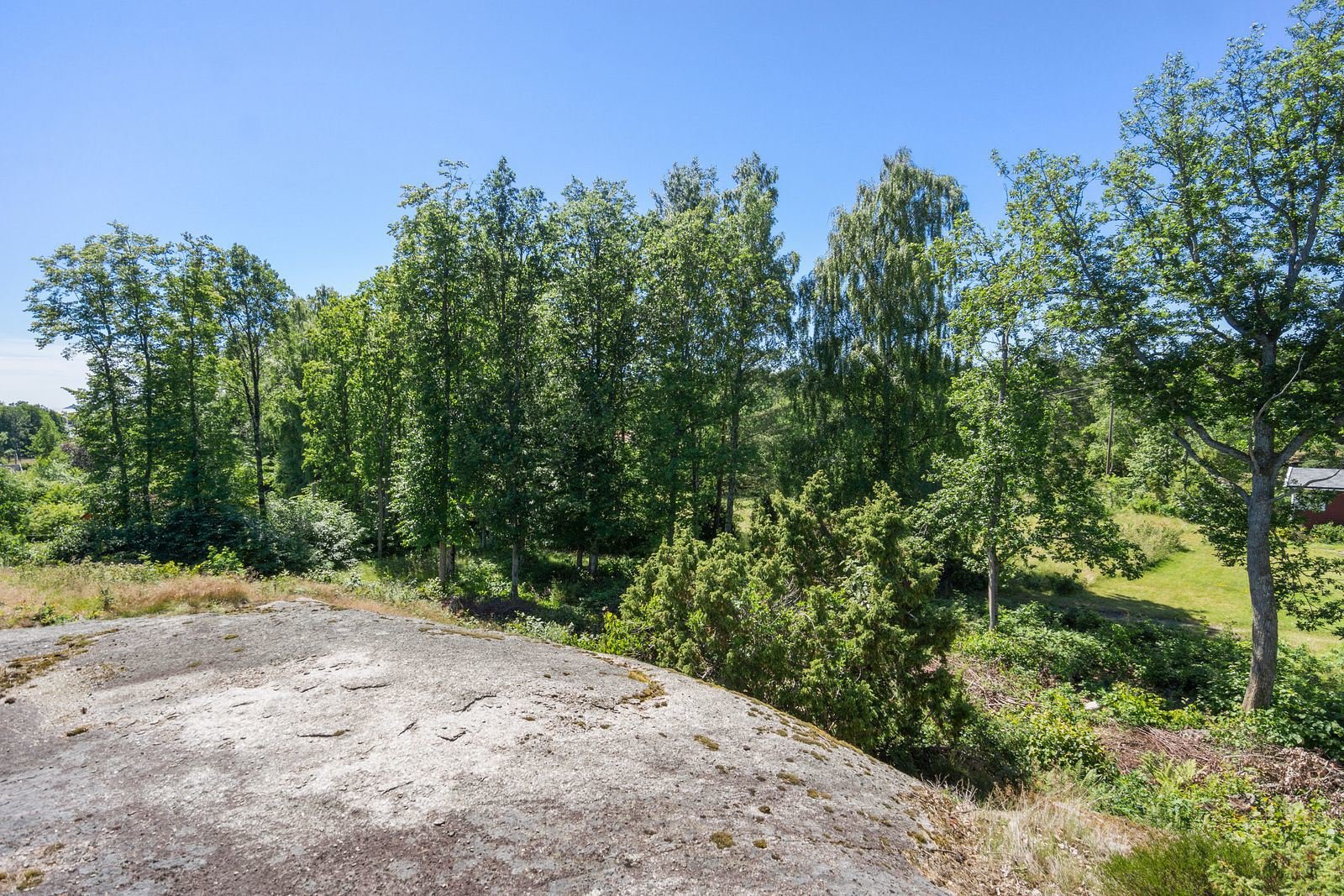 Tomten er mer begrodd enn hva som vises på bildene