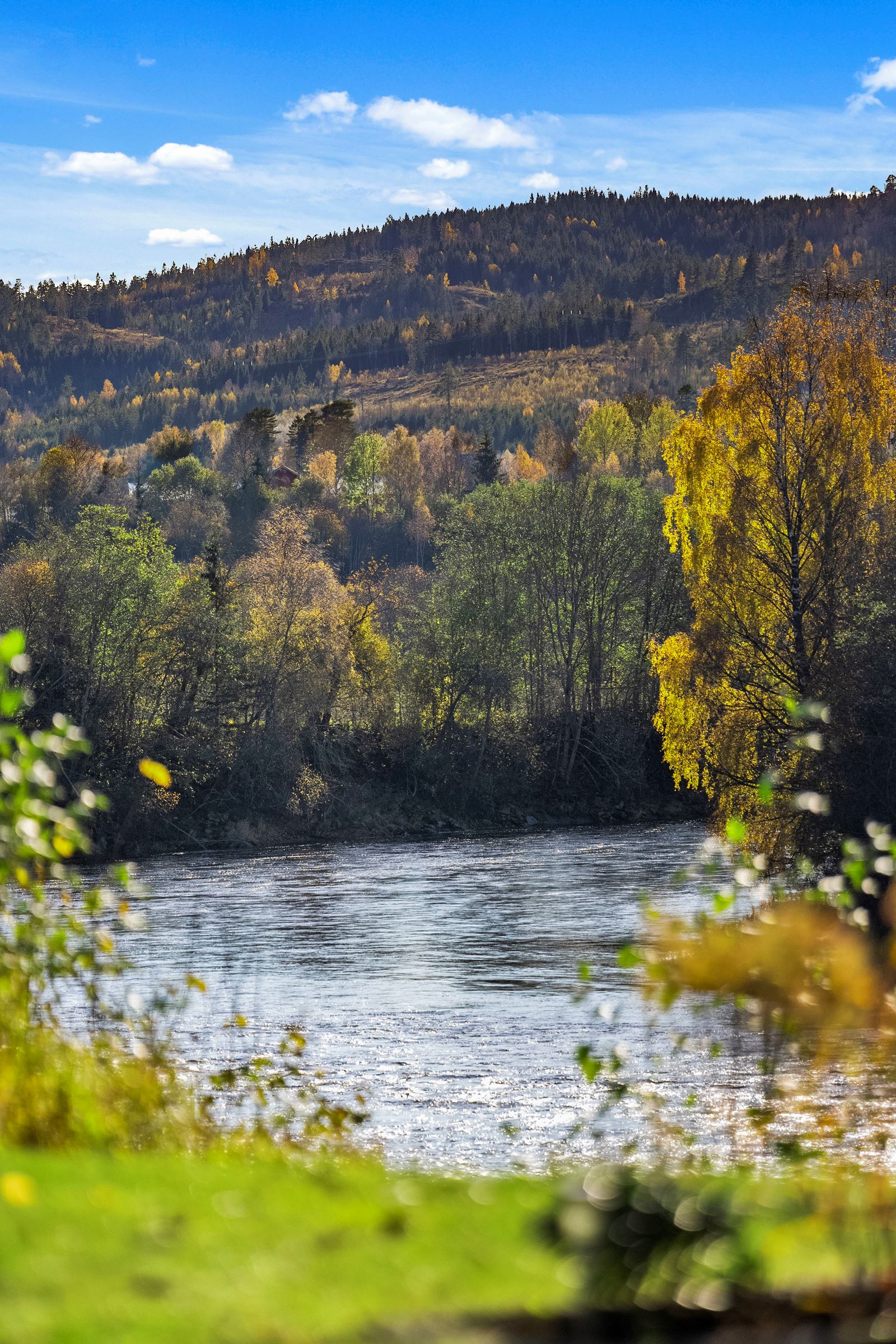 Lågen i fine høstfarger 