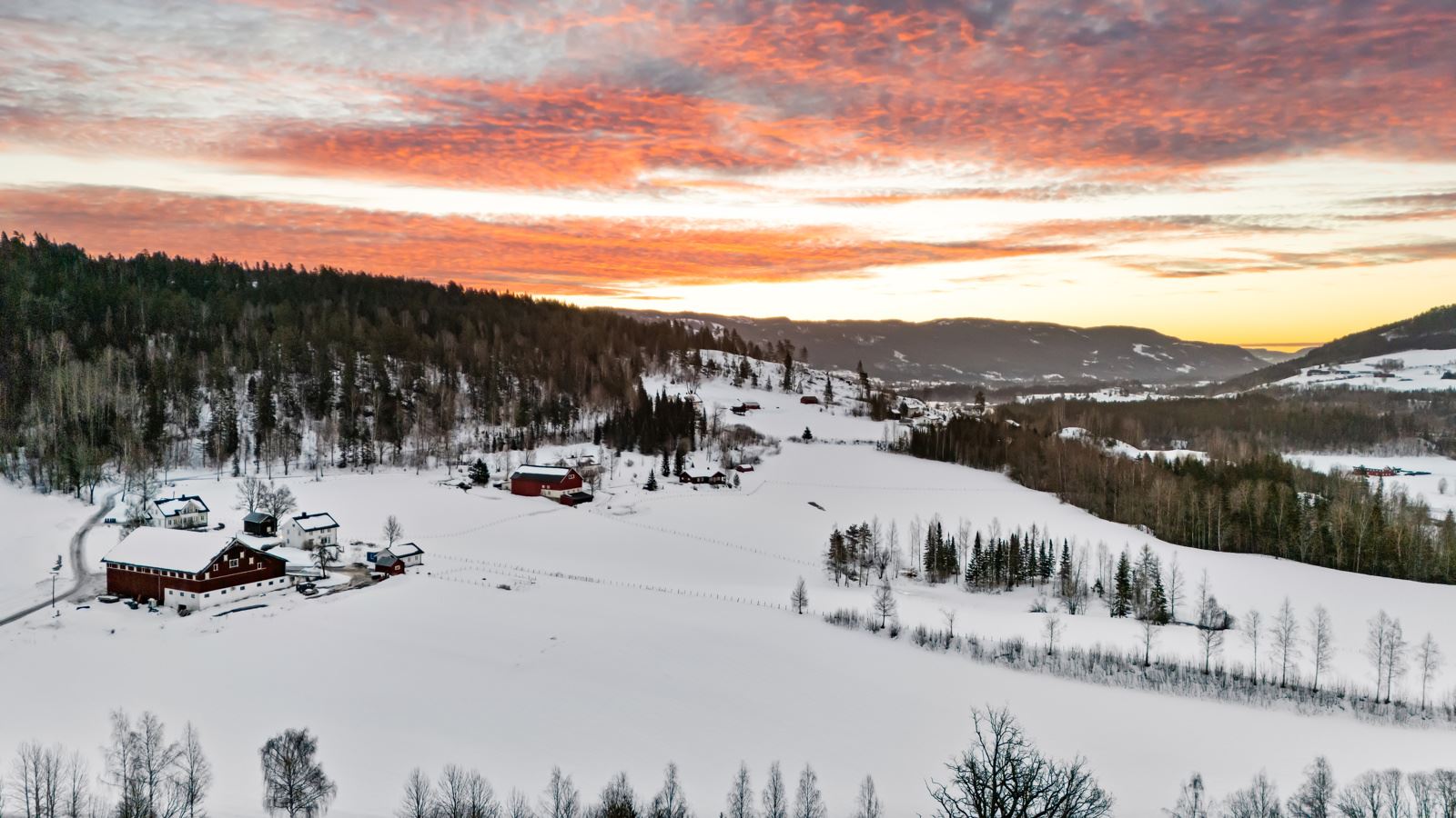 Morgenstemning på tunet 