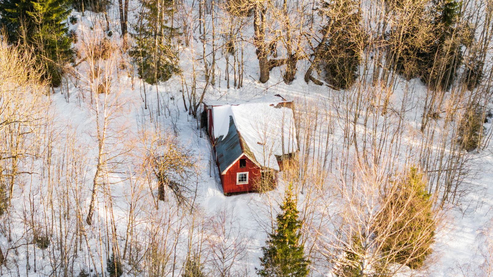 Bygning i skogen nord for eiendommen