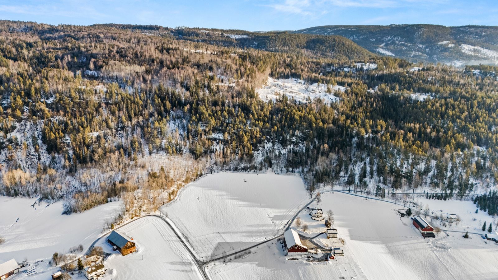 Skogsarealet på 972 daa, hvorav 890 daa er produktivt, strekker seg fra tunet og nordover mot Plommetjern, samt i mindre teiger sør for tunet og ved Lande.