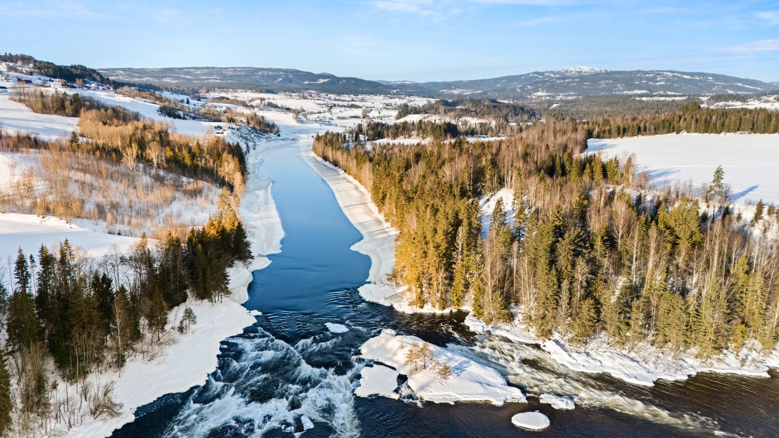 Her står det en god del skog og muligheter for å fiske. 