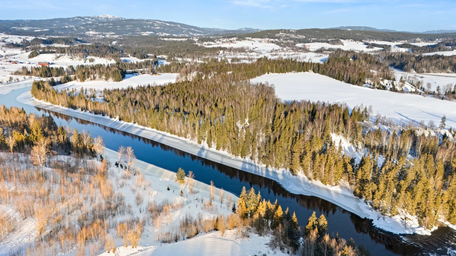 Dronebilde av skogsteigen som grenser til Lågen. 