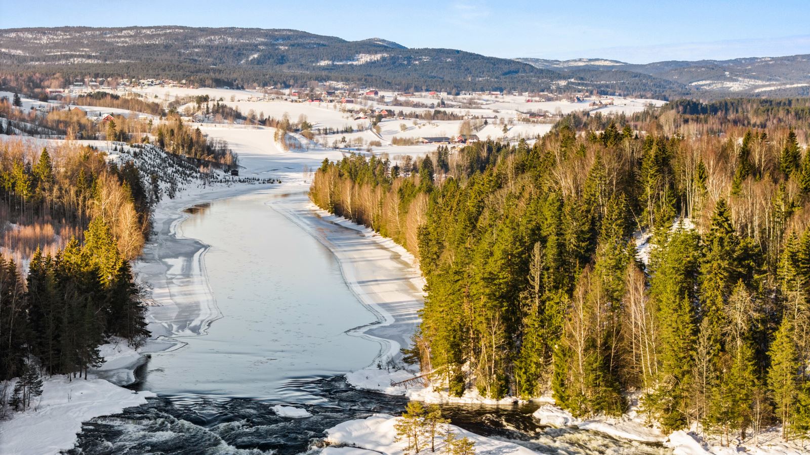 Skogsteigen ved Lågen 