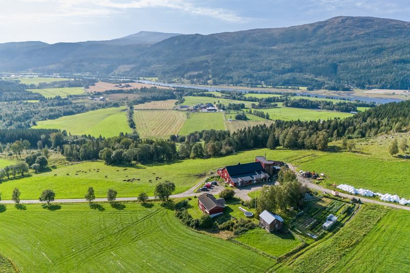 Velkommen til Brattlia økogård