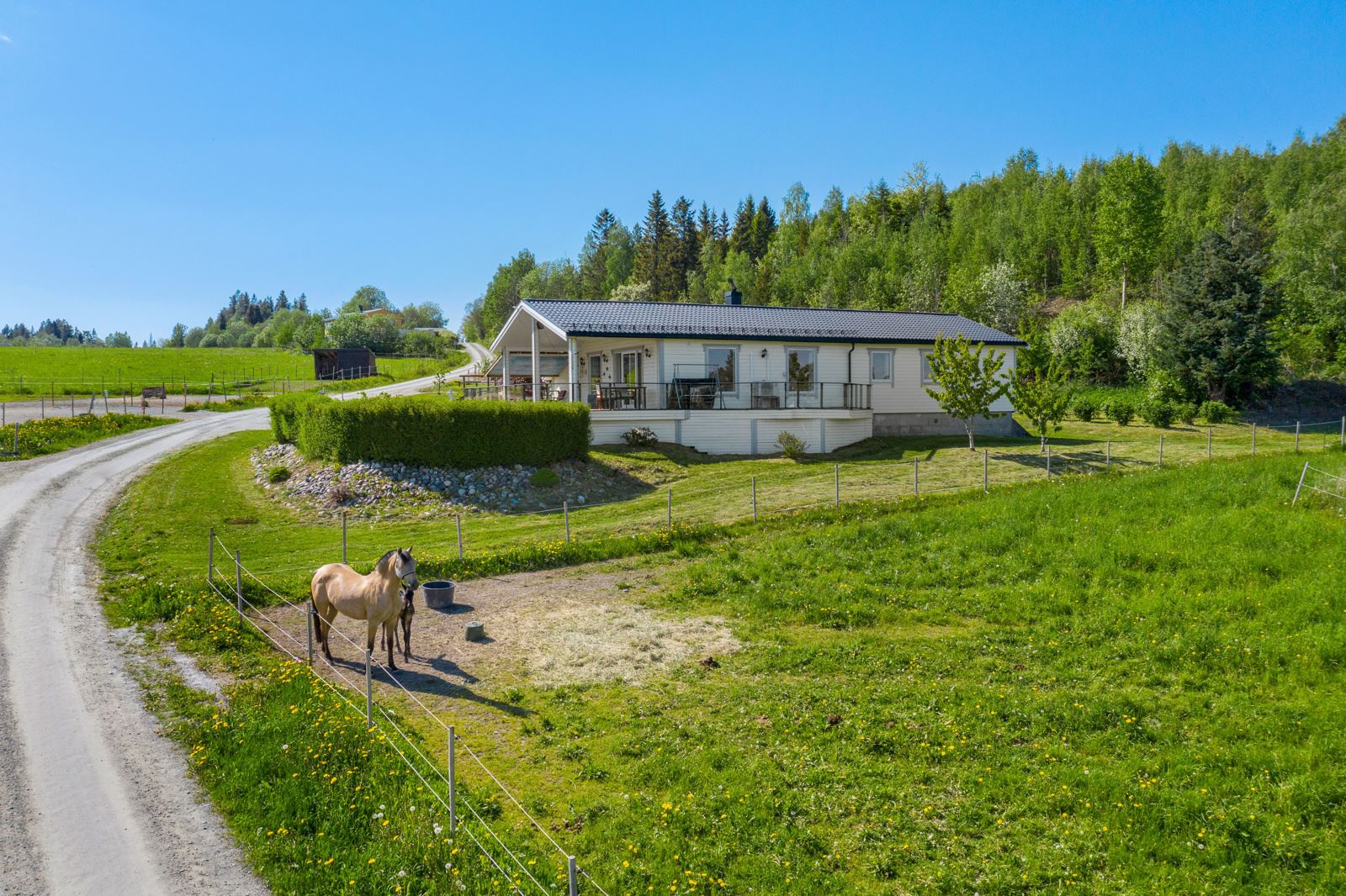 Gårdstun